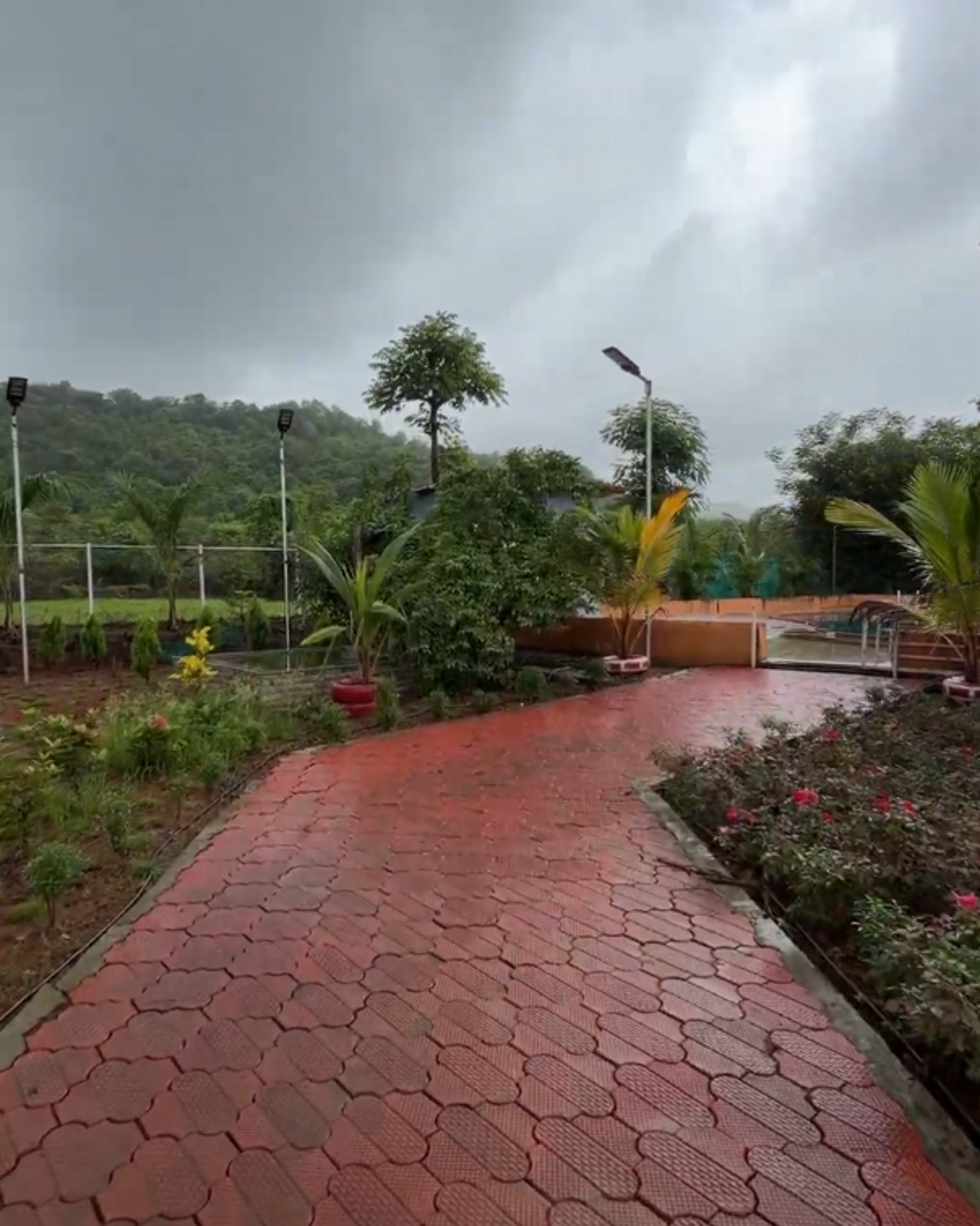 Nature Walks at Nirvi Farms